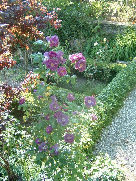 Homestay Le Au Bord Du D'annecy - - Les Terrasses Du *