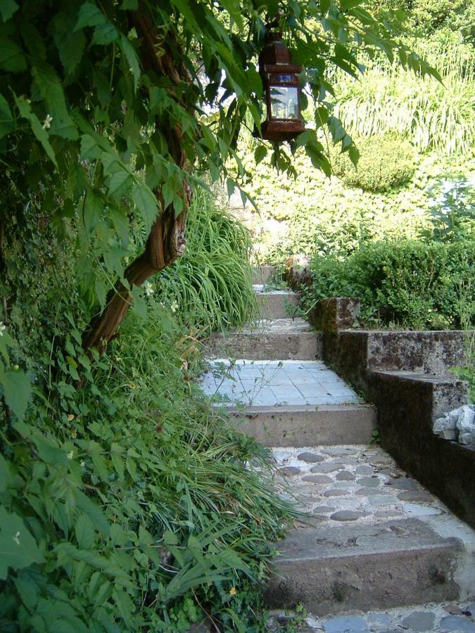 Le Au Bord Du D'annecy - - Les Terrasses Du * Veyrier-du-Lac